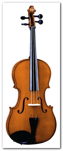 Instrumento-Viola 15